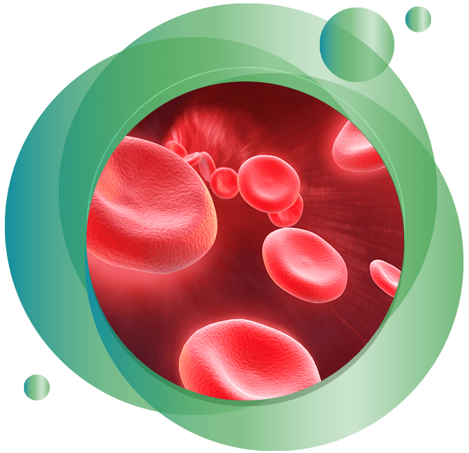 CAR-T Cell Therapy